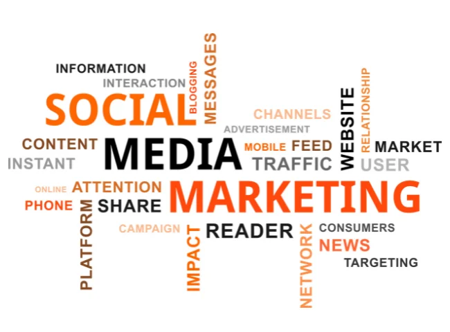 Best digital marketing academy in Calicut